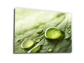 ・"Rainy Day Nature - Water Droplet "・Glass Wall Art - Wonders Of Wall
