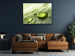 ・"Rainy Day Nature - Water Droplet "・Glass Wall Art - Wonders Of Wall