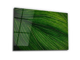 ・"Green the color of Life and Nature"・Glass Wall Art - Wonders Of Wall