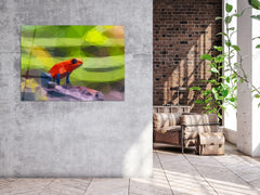 ・"Hypno Frog and Colors"・Glass Wall Art
