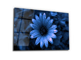 ・"Sprits on Blue Daisy"・Glass Wall Art