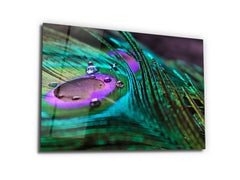 ・"The Magic on Peacock Feather"・Glass Wall Art