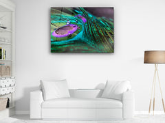 ・"The Magic on Peacock Feather"・Glass Wall Art