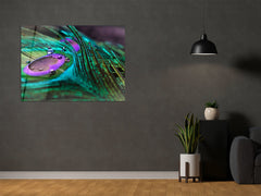 ・"The Magic on Peacock Feather"・Glass Wall Art
