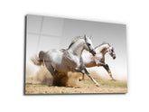 ・"Twin White Stallions"・Glass Wall Art - Wonders Of Wall
