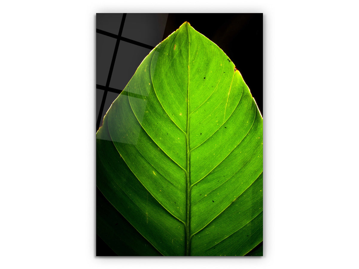 Green Leaf - Glass Wall Art