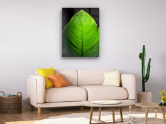 Green Leaf - Glass Wall Art