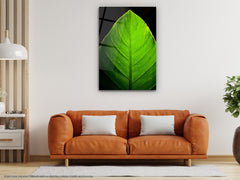 Green Leaf - Glass Wall Art