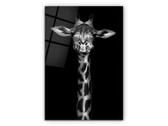 The Giraffe - Glass Wall Art