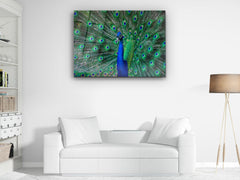 ・"Beauty of the Peacock"・Glass Wall Art - Wonders Of Wall