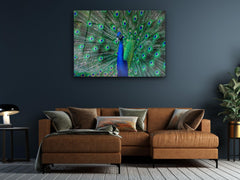 ・"Beauty of the Peacock"・Glass Wall Art - Wonders Of Wall