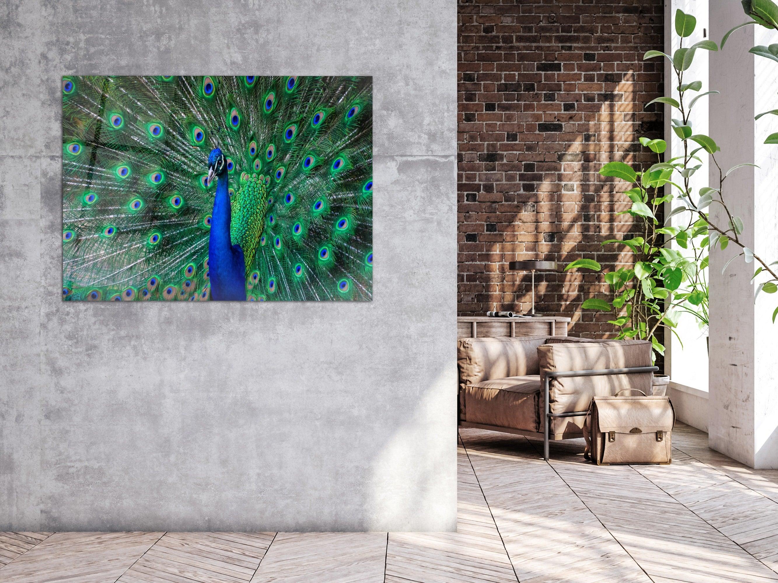 ・"Beauty of the Peacock"・Glass Wall Art - Wonders Of Wall