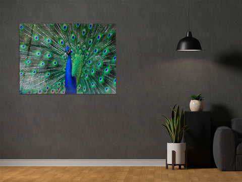 ・"Beauty of the Peacock"・Glass Wall Art - Wonders Of Wall