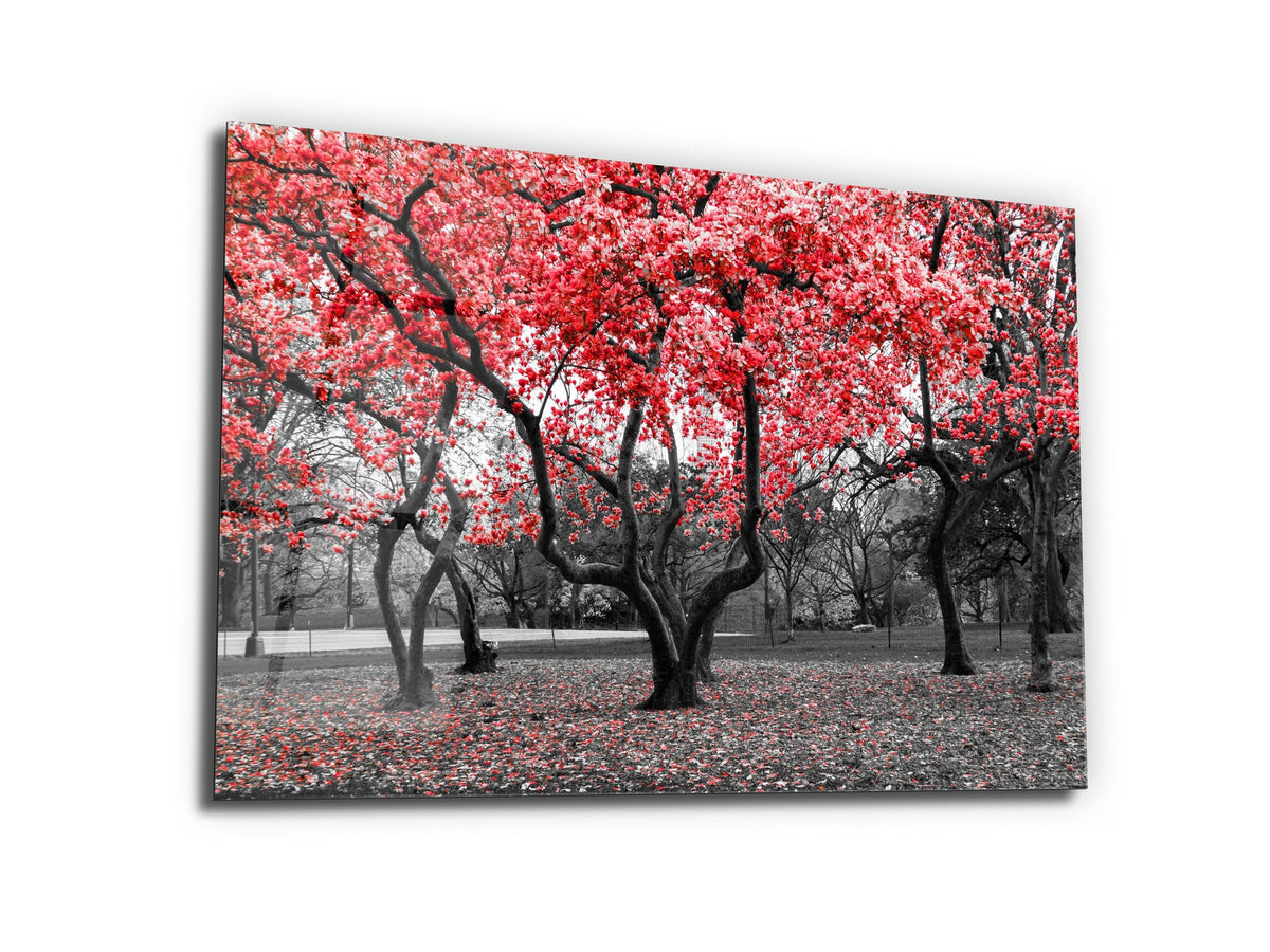 ・"Before Blossom of Red Tree - Red Autumn"・Glass Wall Art