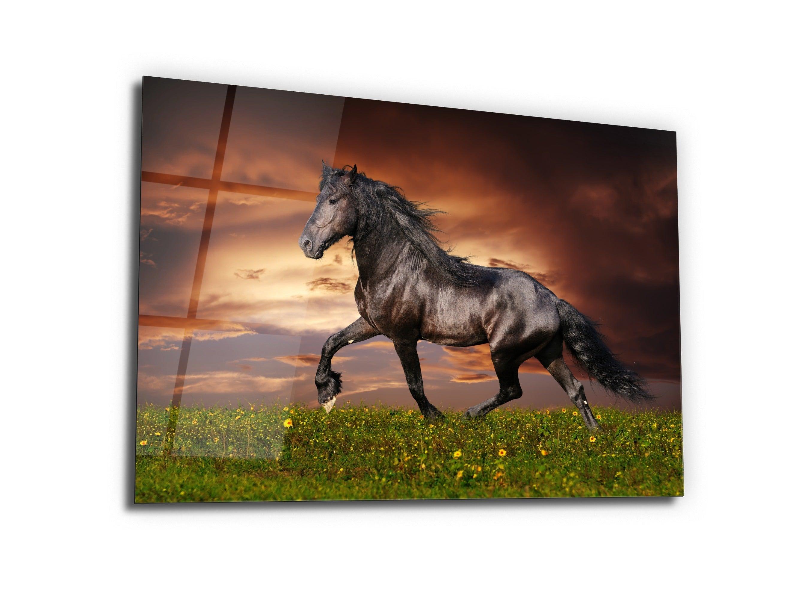 ・"Black Stallion"・Glass Wall Art - Wonders Of Wall