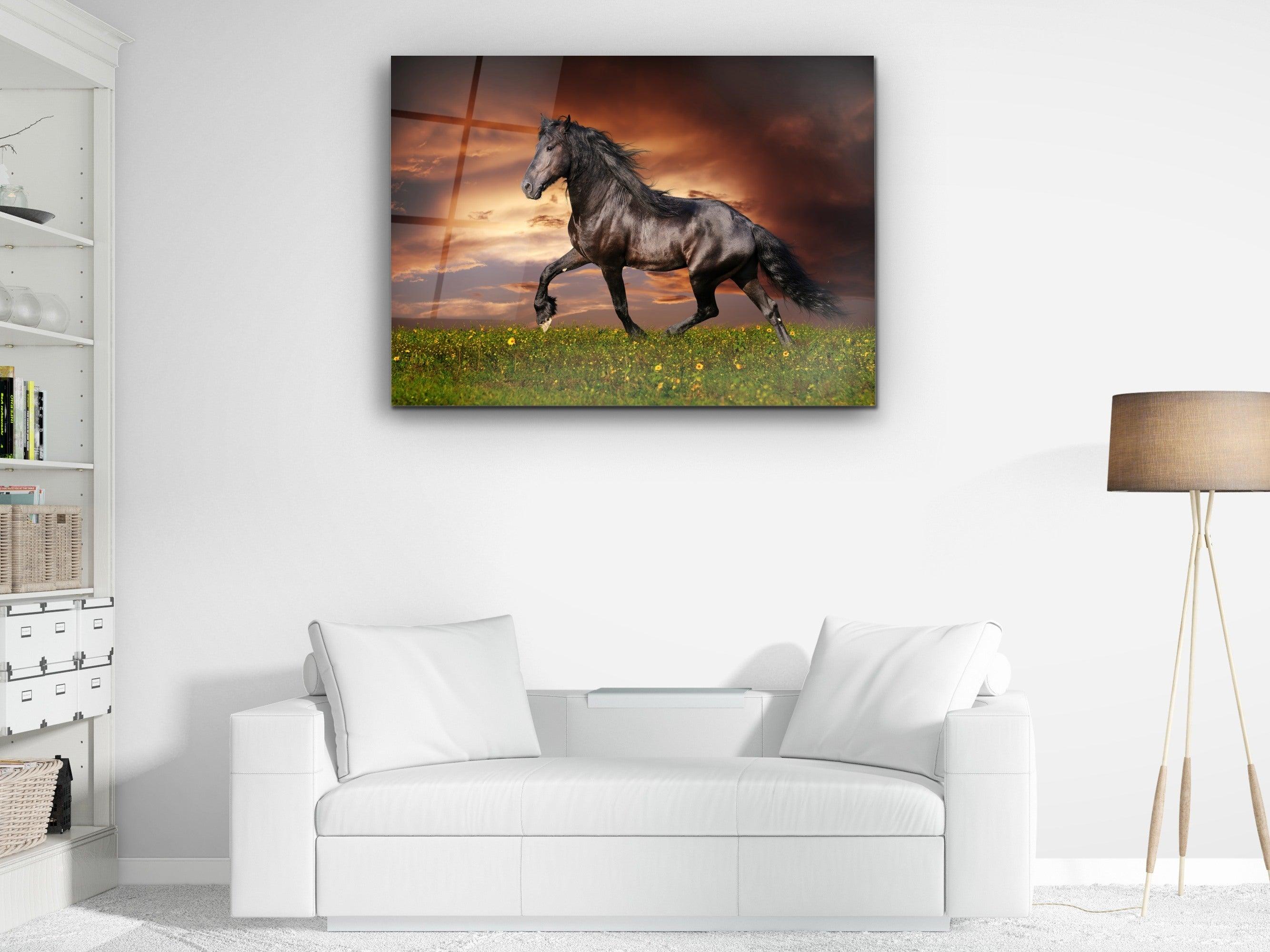 ・"Black Stallion"・Glass Wall Art - Wonders Of Wall