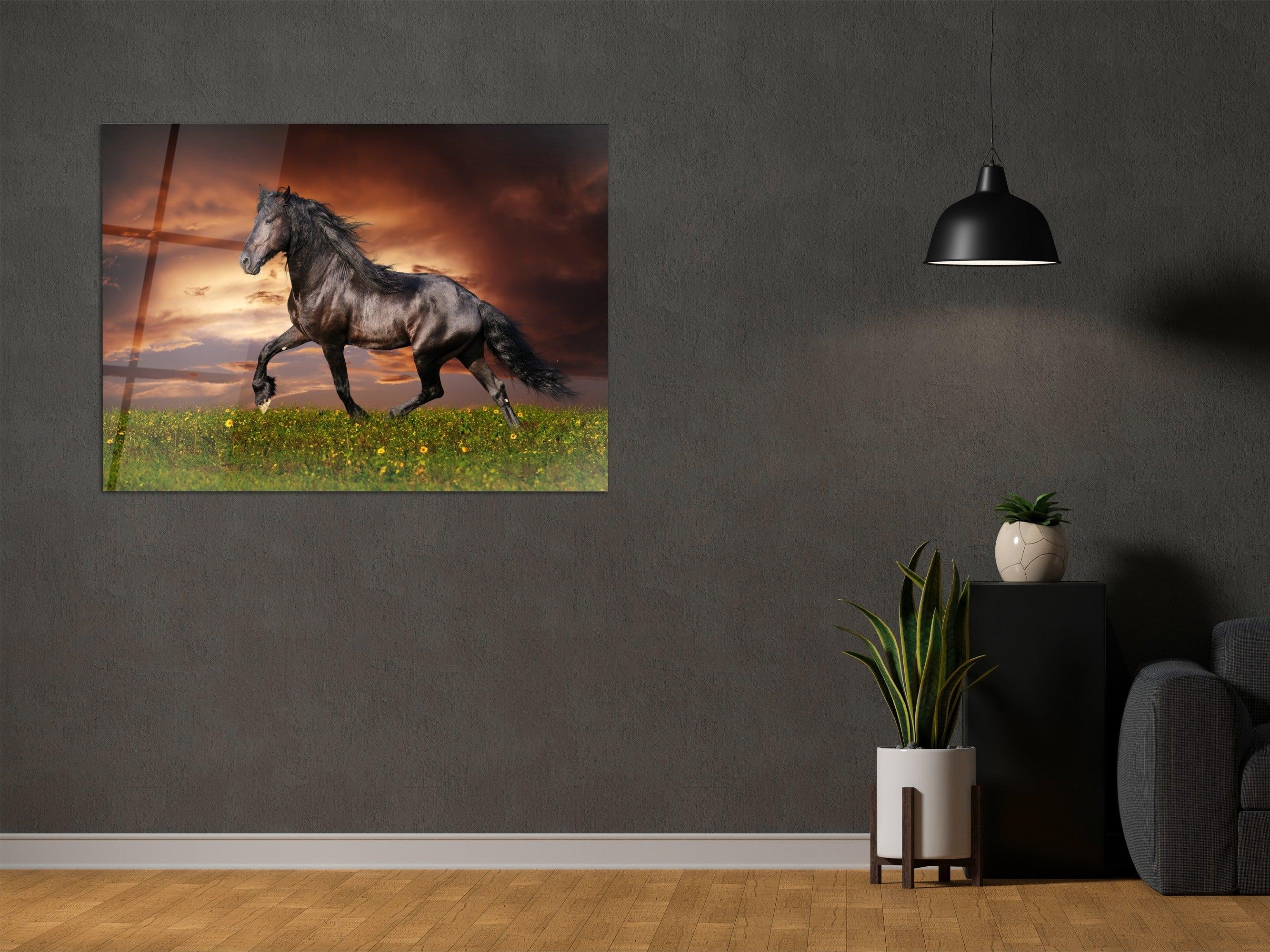 ・"Black Stallion"・Glass Wall Art - Wonders Of Wall