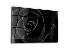 ・"Mysterious Dark Rose "・Glass Wall Art