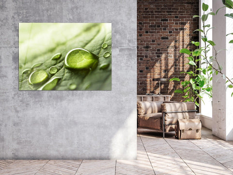 ・"Rainy Day Nature - Water Droplet "・Glass Wall Art - Wonders Of Wall