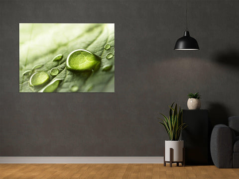 ・"Rainy Day Nature - Water Droplet "・Glass Wall Art - Wonders Of Wall