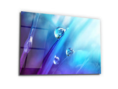 ・"Nature's Jewels Dew Drops"・Glass Wall Art