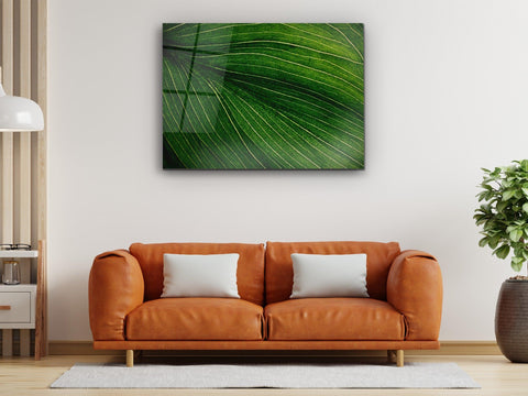 ・"Green the color of Life and Nature"・Glass Wall Art - Wonders Of Wall