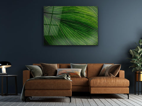 ・"Green the color of Life and Nature"・Glass Wall Art - Wonders Of Wall