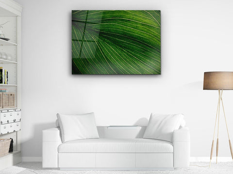 ・"Green the color of Life and Nature"・Glass Wall Art - Wonders Of Wall