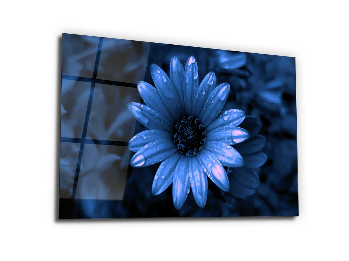 ・"Sprits on Blue Daisy"・Glass Wall Art