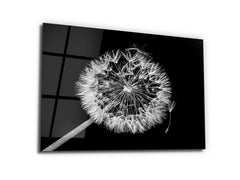 ・"White Dandelion"・Glass Wall Art - Wonders Of Wall