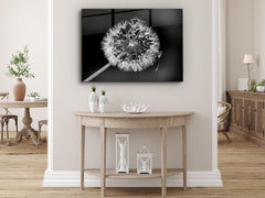 ・"White Dandelion"・Glass Wall Art - Wonders Of Wall