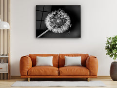 ・"White Dandelion"・Glass Wall Art - Wonders Of Wall