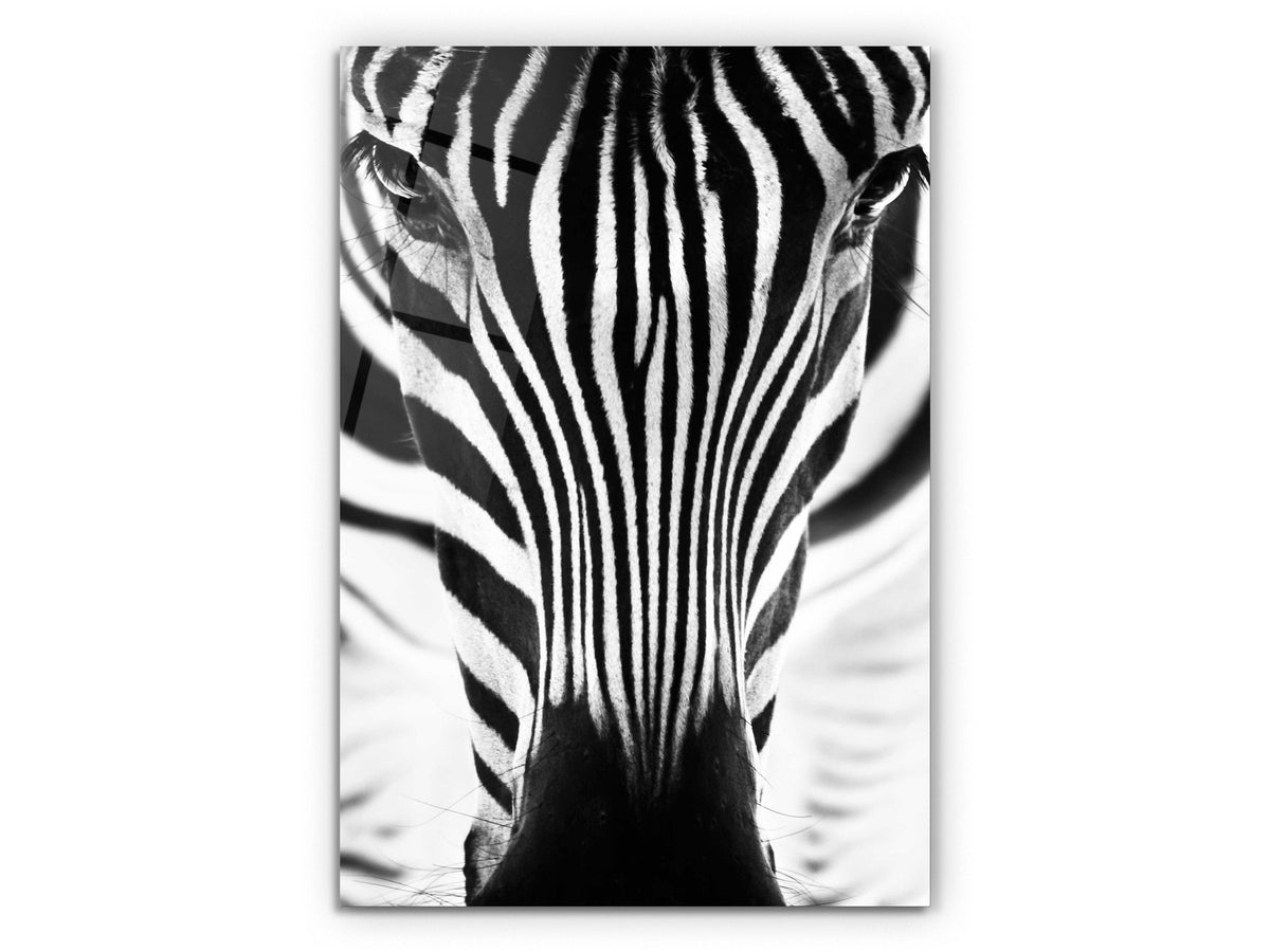 Zebra - Glass Wall Art